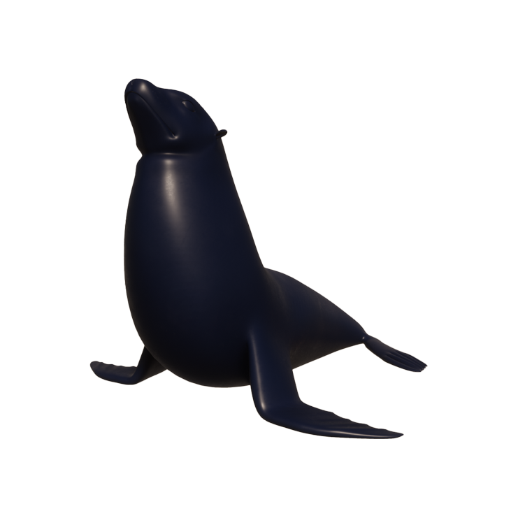 3d sea lion